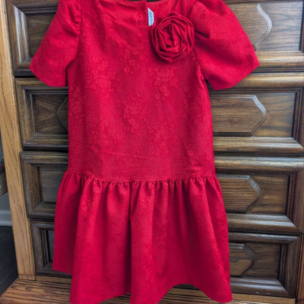 Janie and Jack Girls Rose Jacquard Dropwaist Dress Red Burgundy Size 8 - Picture 7 of 8